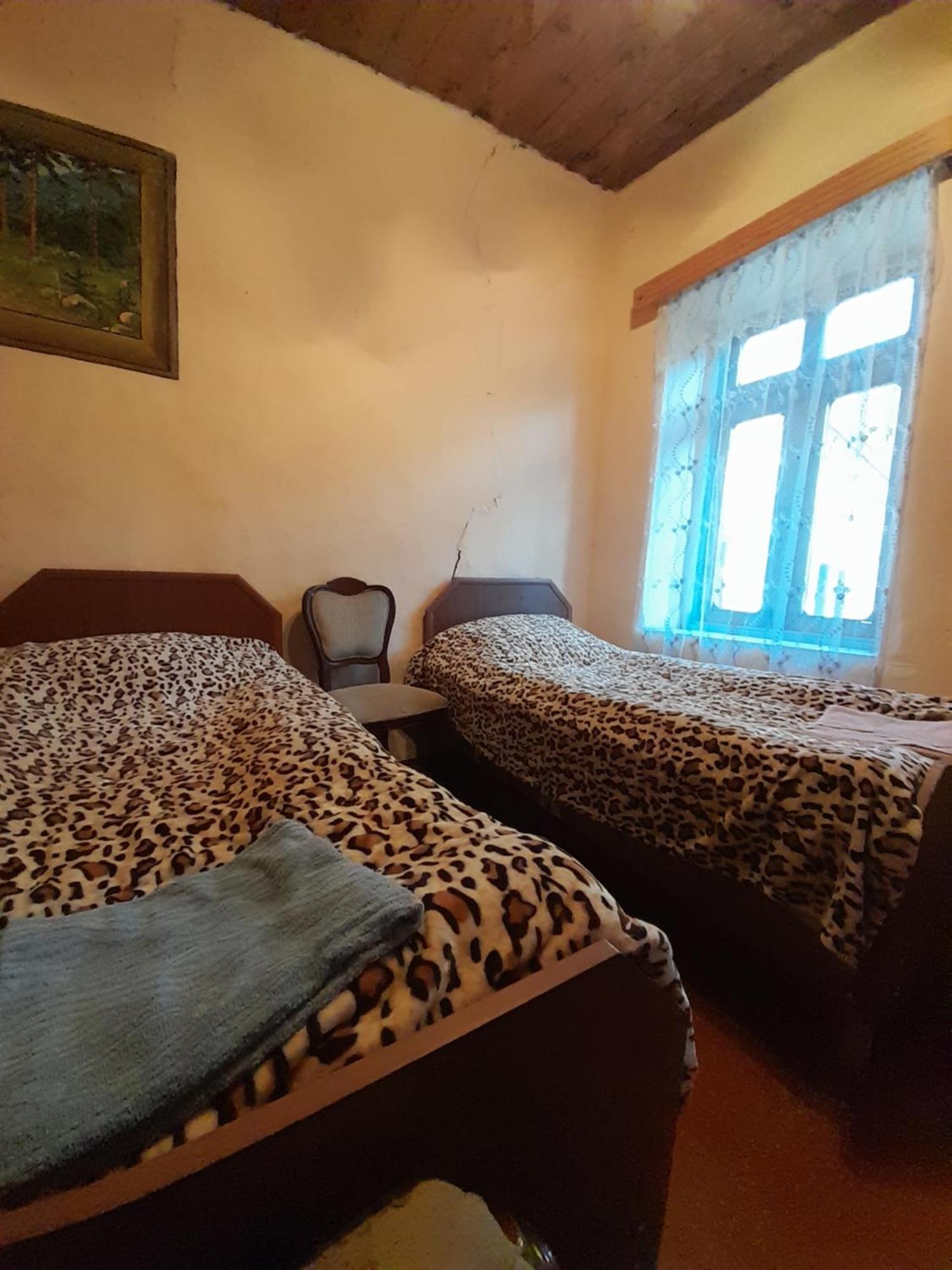 Adishi Guest House Zhora Kaldani Eksteriør billede